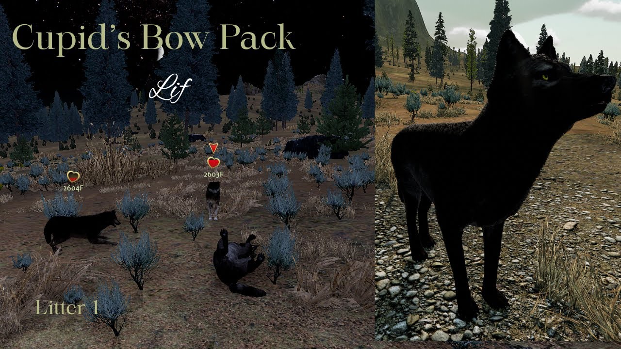Cupid's Bow Pack - Lif L1 - Territory/Raise Pups [WolfQuest Saga]
