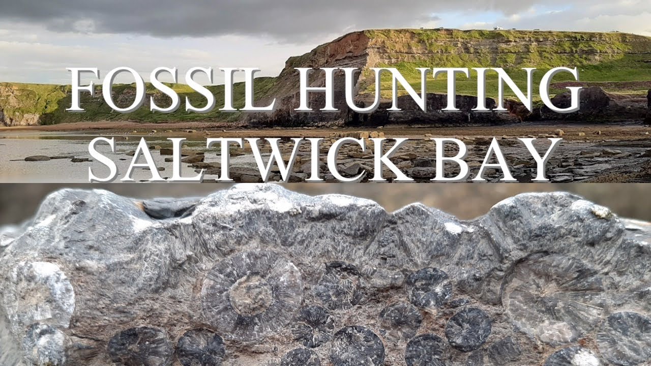 Fossil Hunting Yorkshire , Saltwick Bay
