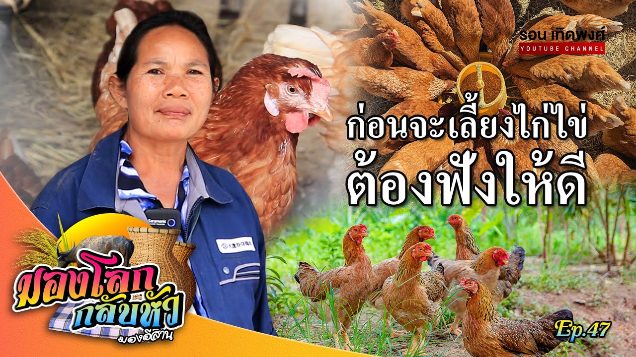 มองโลกกลับหัว Ep.47 | คิดจะเลี้ยงไก่ไข่ ต้องฟังให้ดี #รอนเทิดพงศ์ #เลี้ยงไก่ไข่ #มองโลกกลับหัว