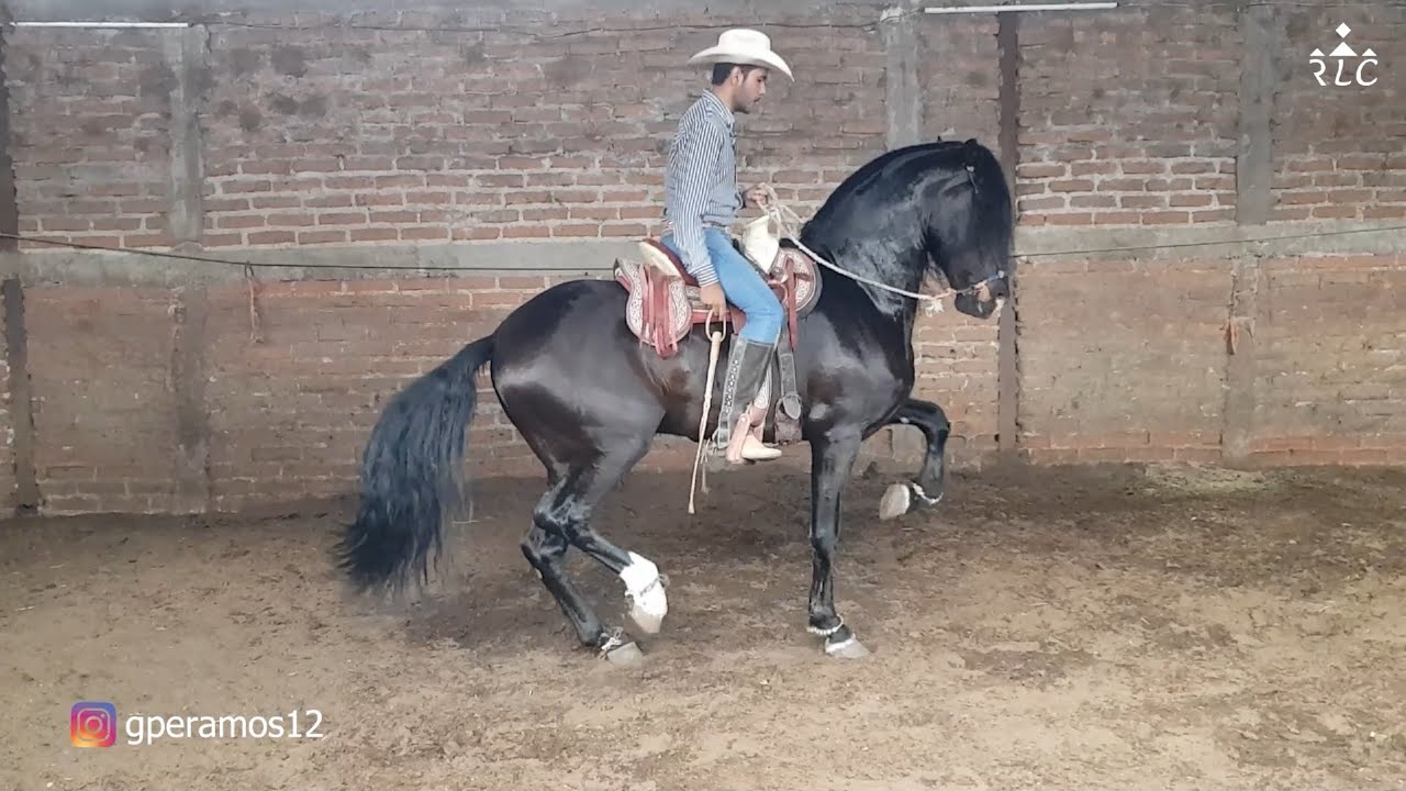 Juan Ramos visita a su primo Lupillo Ramos quien es Arrendador de Caballos de Bailadores en Nayarit