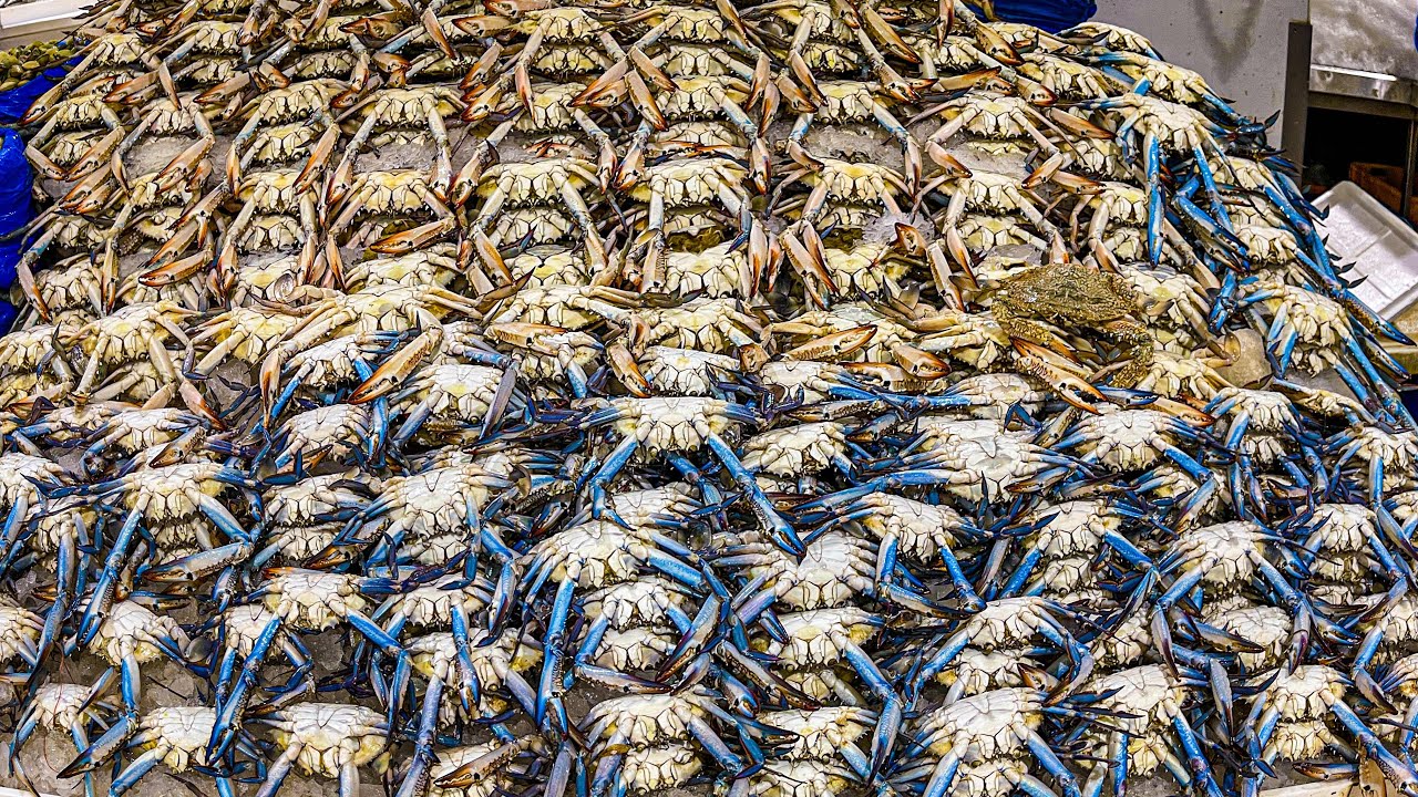 Delicious Lebanese Seafood Sandwiches Have Landed in DUBAI: From The Fish Market to the Restaurant
