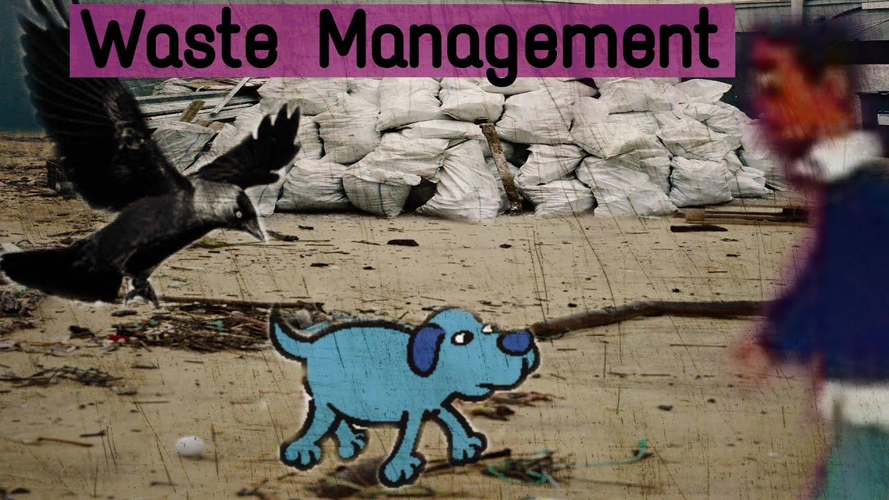 Award wining animated short film - Waste management | Sounds `n' short films