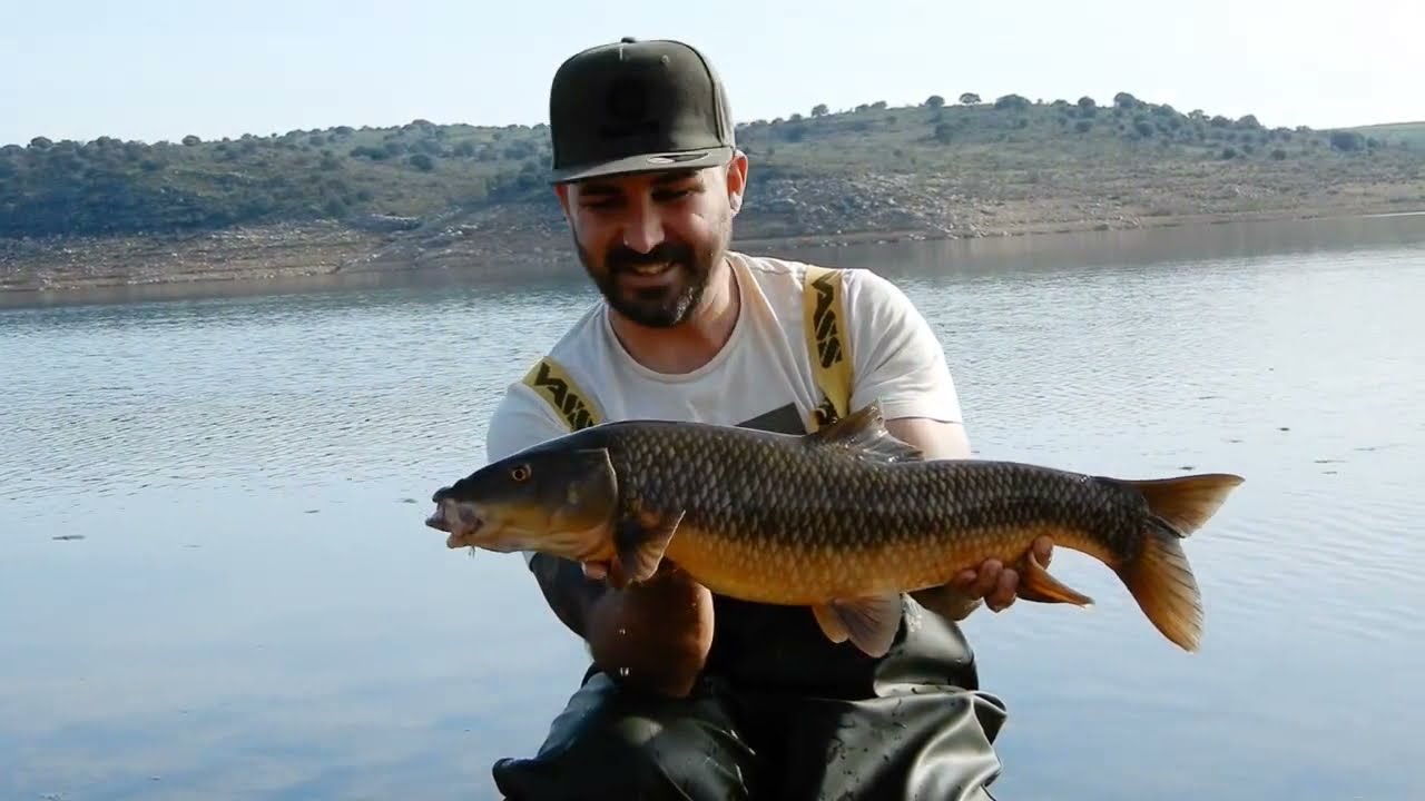 CARPFISHING BARBOS GITANOS EN ALANGE