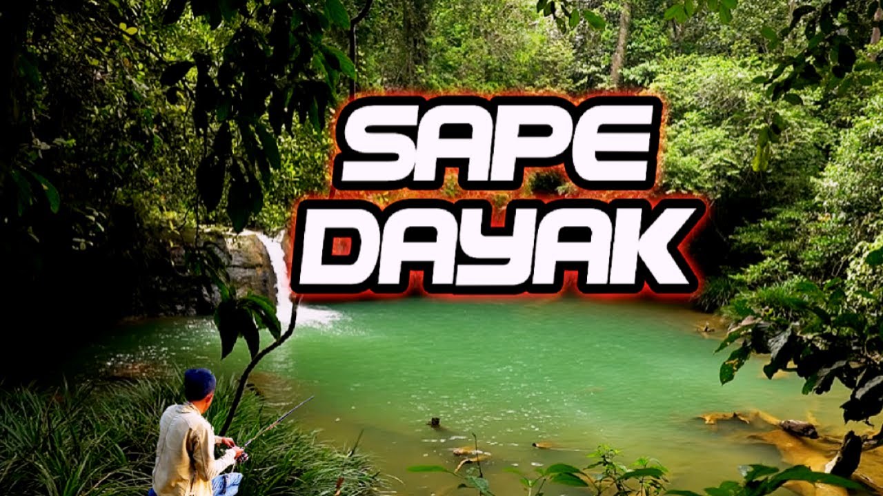 instrumen sape kalimantan | sape Dayak | sape borneo
