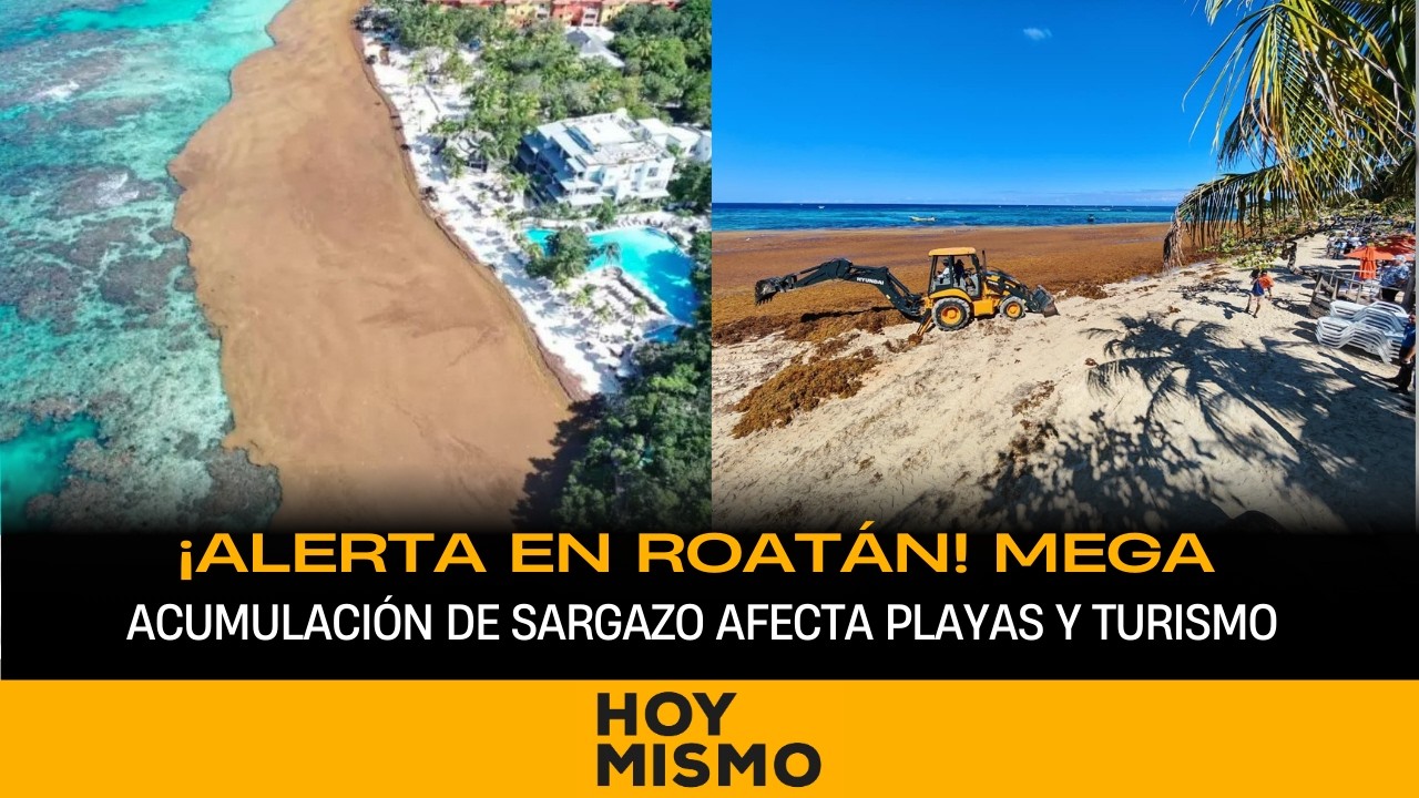 ¡Alerta en Roatán! Mega acumulación de sargazo afecta playas y turismo