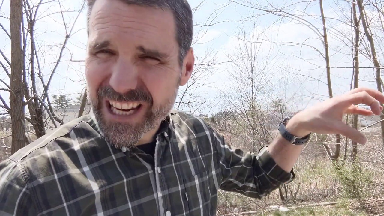 Red-Winged Blackbird - Learn a Bird - Episode #9