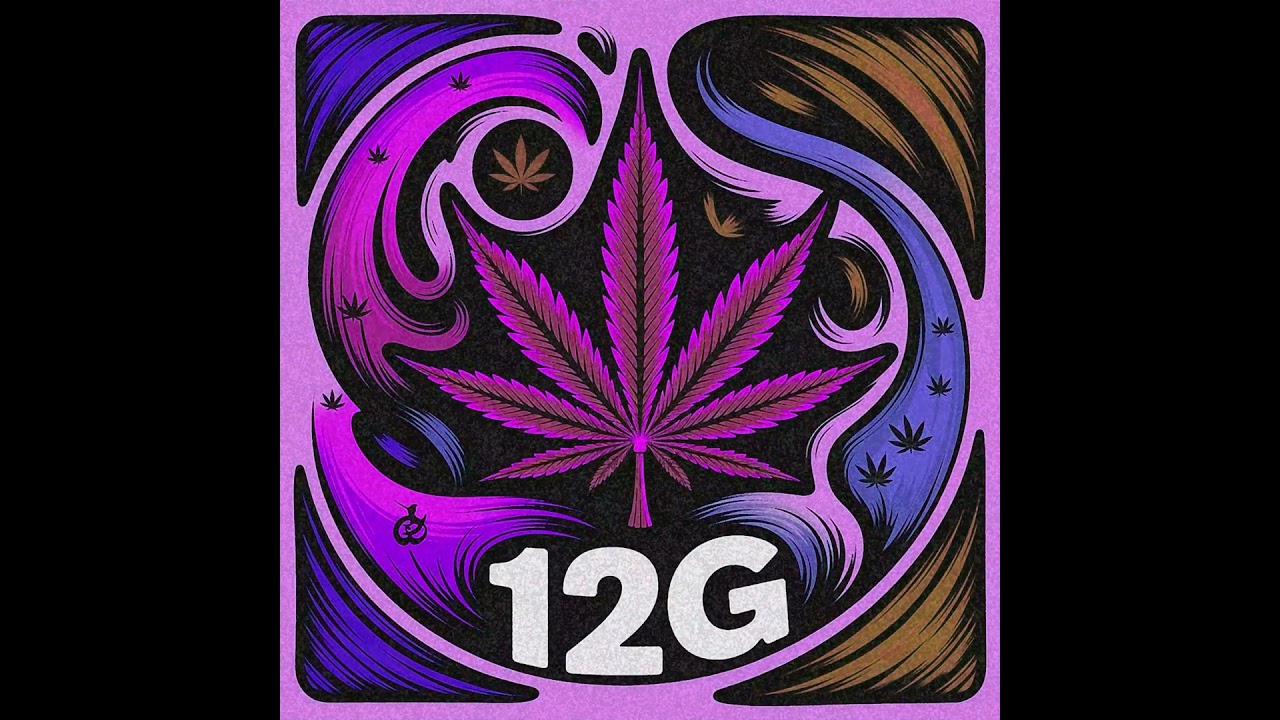 SANGSAFE - 12G
