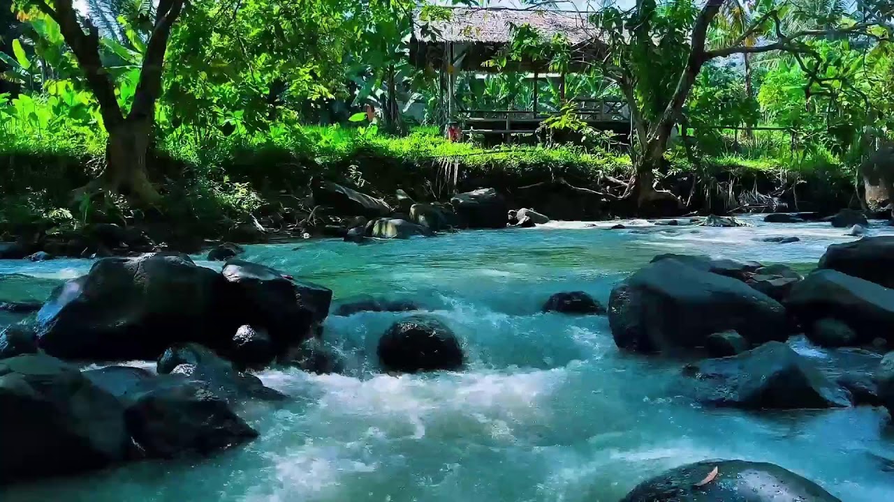 Relaxing River Flow with Birds Chirping for Concentration and Sleep