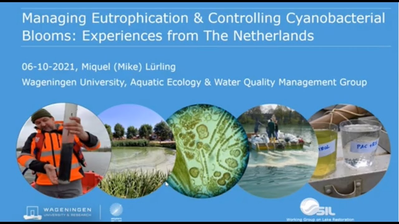 Managing Eutrophication & Controlling Cyanobacterial Blooms: Experiences from The Netherlands