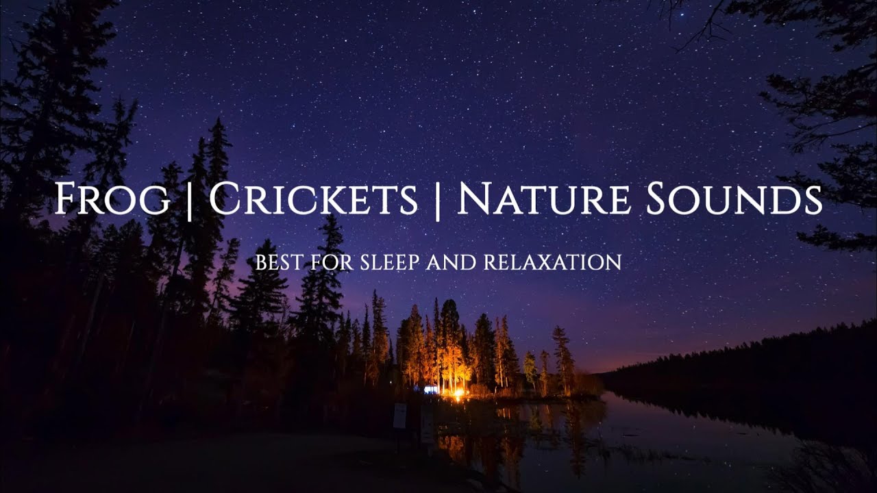[No Ads] 8 Hours Frog, Crickets and Nature Sounds | Best for Sleep