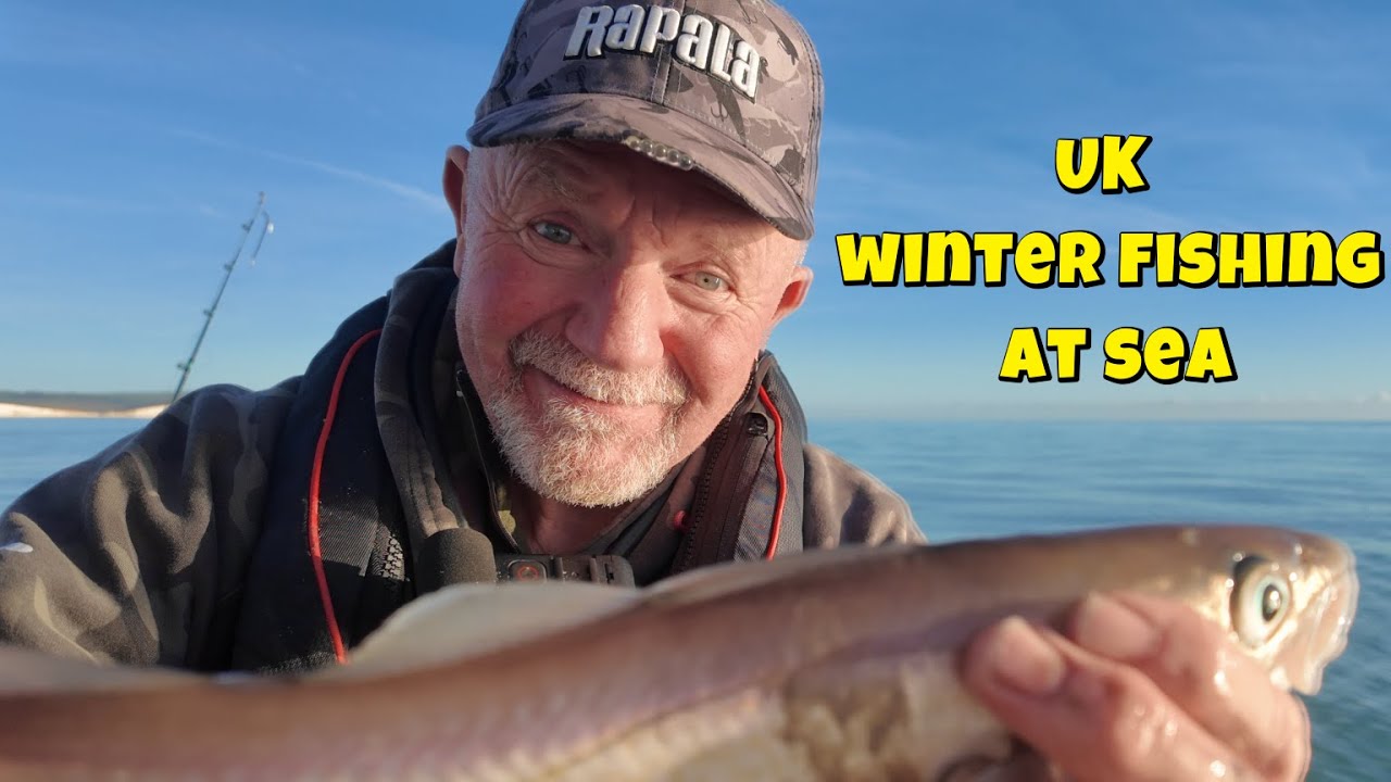 Just a Perfect day: Blue sky, calm sea and plenty of fish.