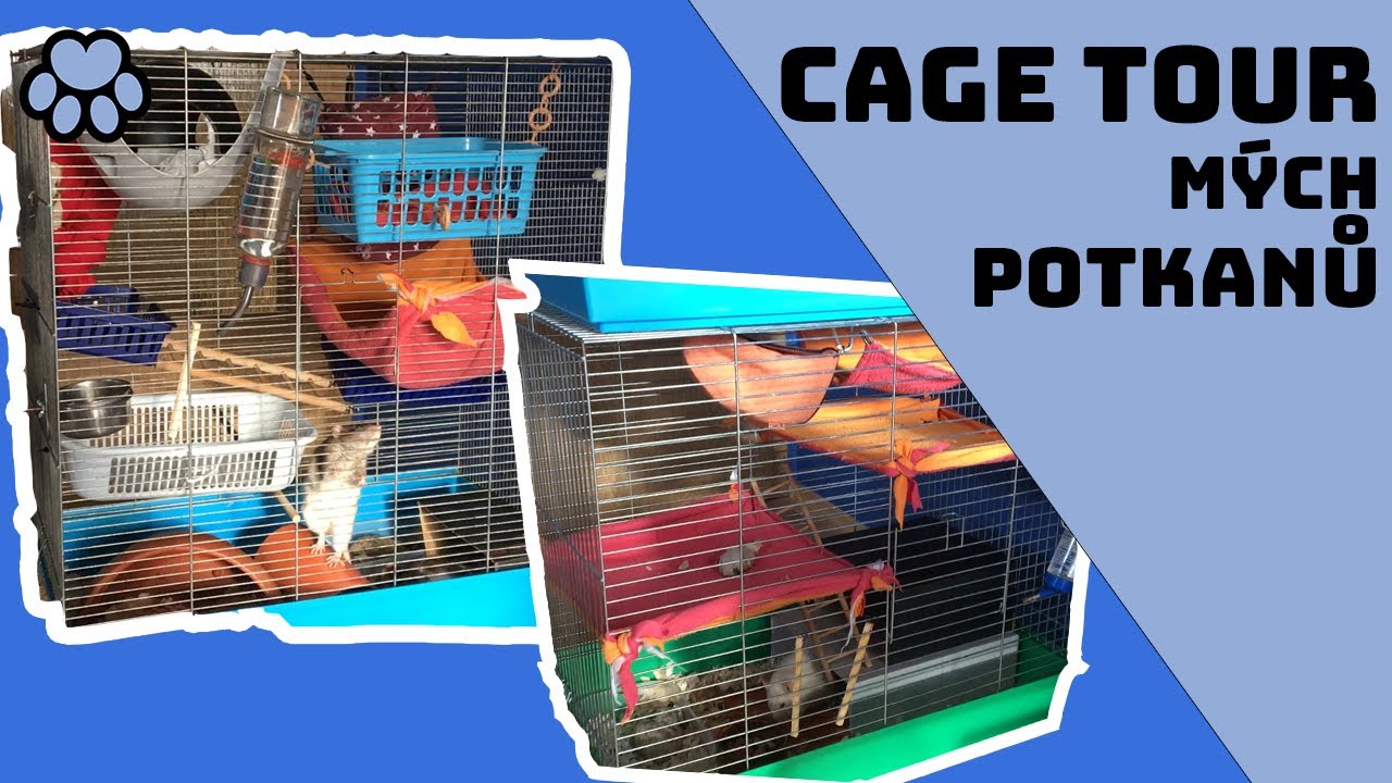 CAGE TOUR l Prohlídka potkaní klece