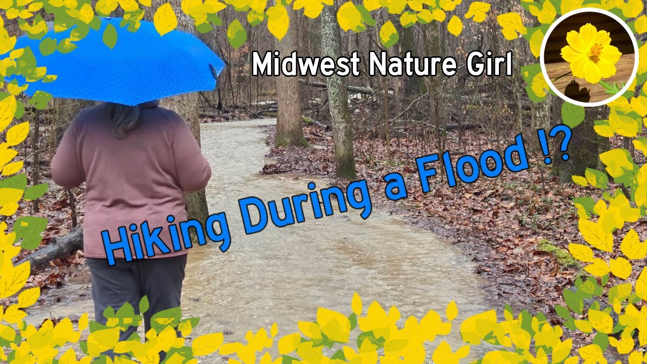 Hiking in the Rain