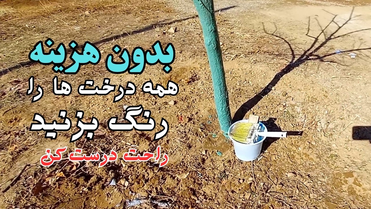 رنگ تنه درخت به روش چینی ها:نگران ترک خوردن تنه درختان و شانکر تنه درختان نباشید.