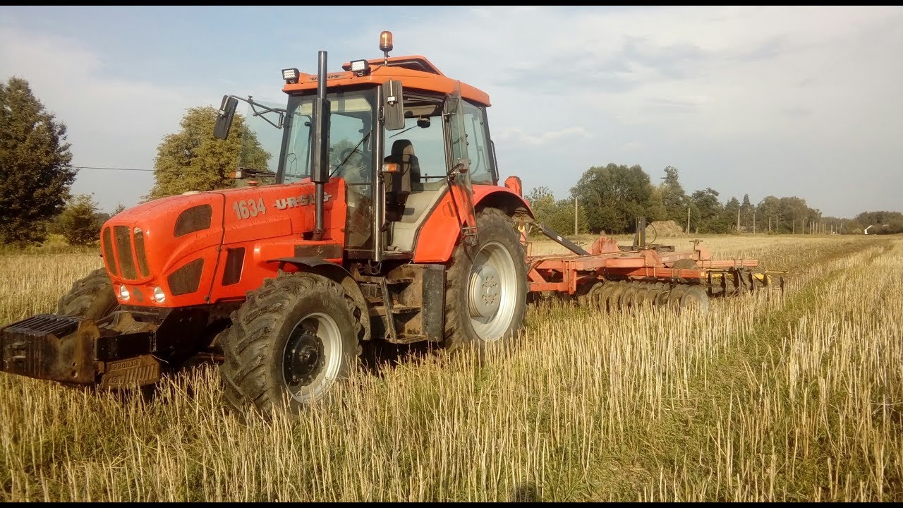 Talerzowanie po rzepaku!! U-R-S-U-S 1634 w akcji!! Prace pożniwane 2018