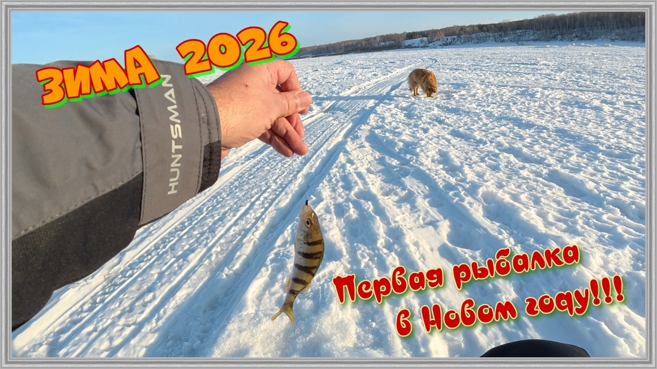 Зима 2026. Первая рыбалка в Новом году.