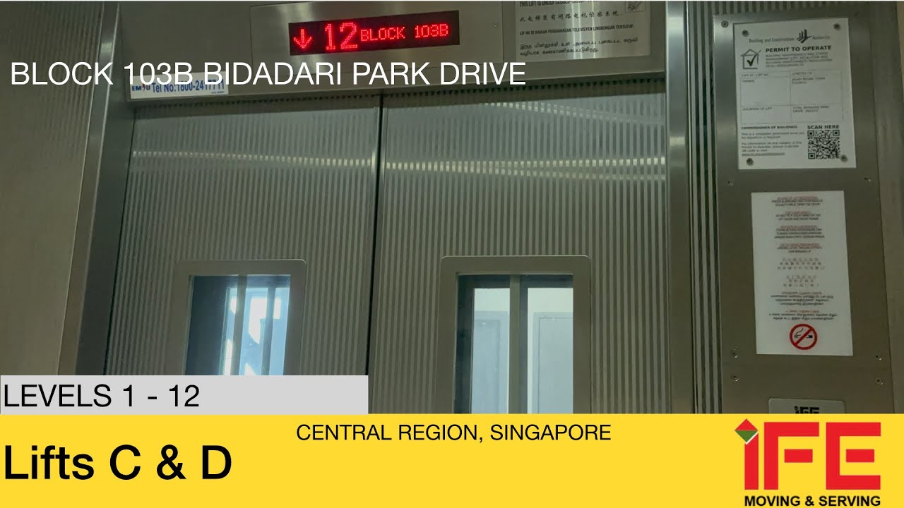 HDB Block 103B Bidadari || IFE Elevator (Lifts C & D)