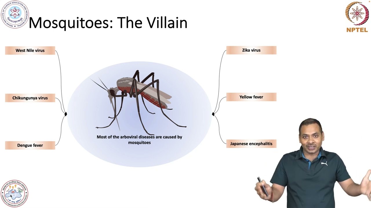 Arbovirus and Aroboviral diseases