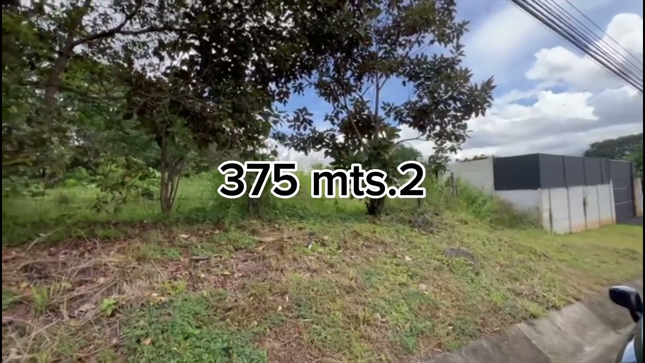 Venta lote San Pablo Turrubares. 375 Mts.2