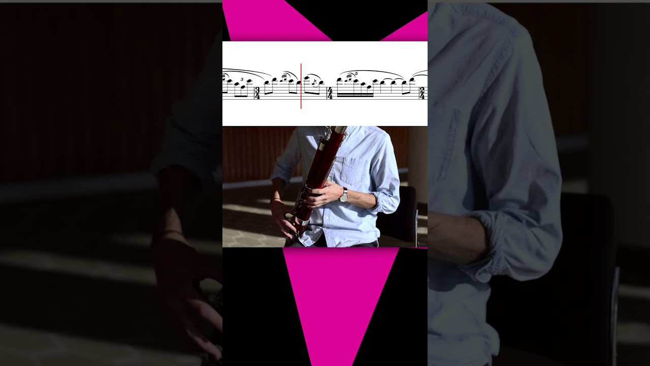 The Rite of Spring – Bassoon solo opening (