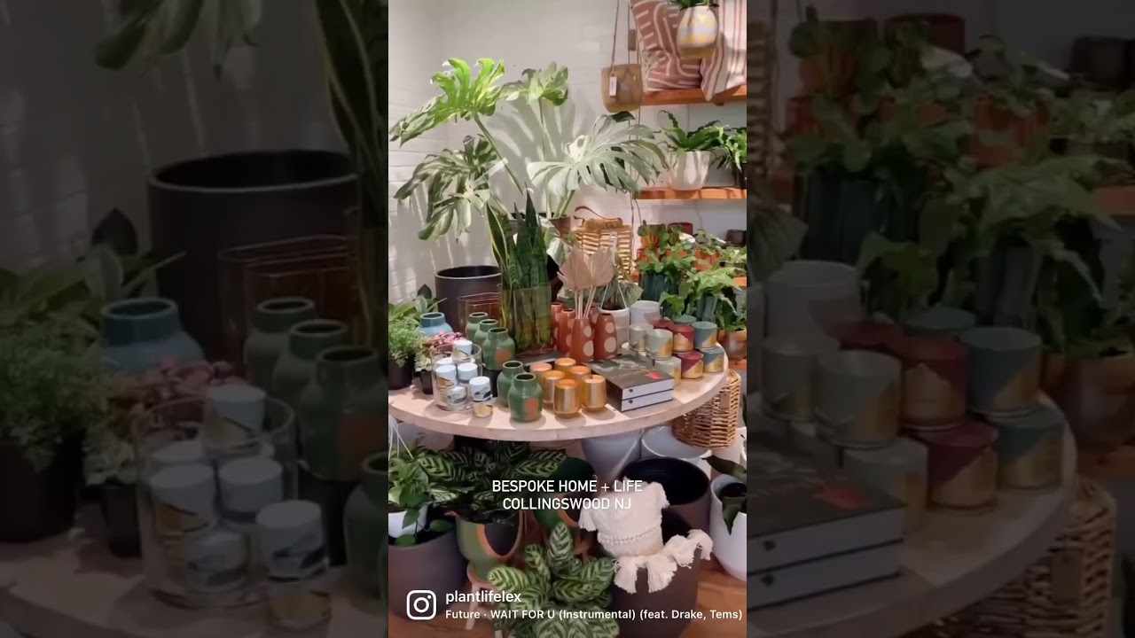 Beautiful Plant And Home Decor Store Tour - Plant Shopping - BESPOKE Home + Life