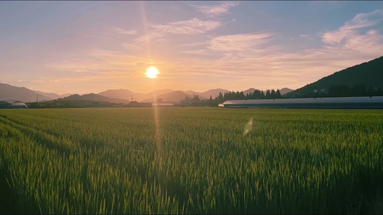 Playlist | 🍃우리의 봄여름가을겨울