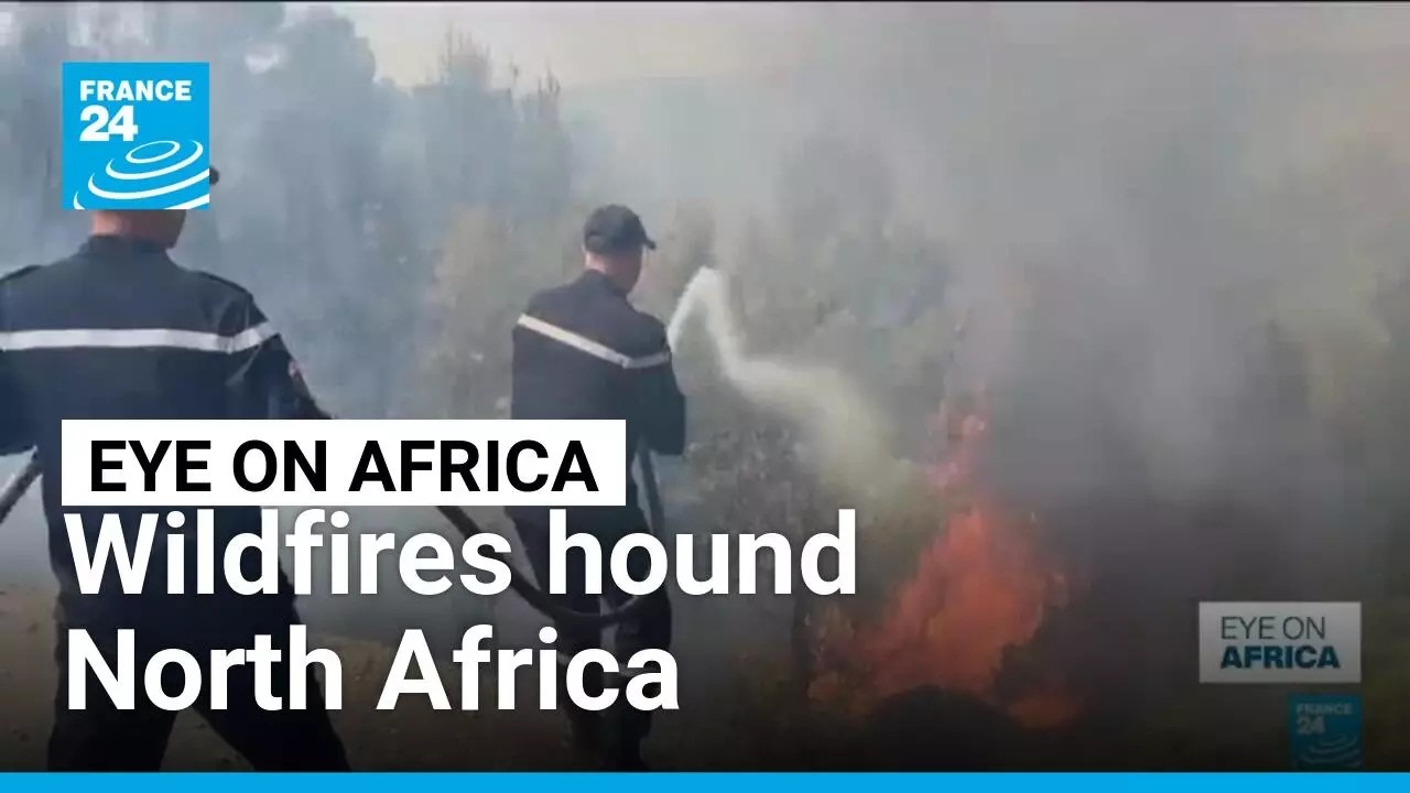 Wildfires hound Tunisia, Algeria and Morocco &bull; FRANCE 24 English