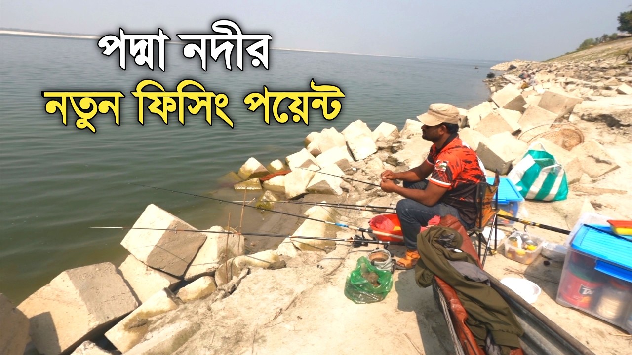 পদ্মা নদীতে বড় মাছ ধরার সেরা পয়েন্ট। Fishing point, Padma River, hook fishing.
