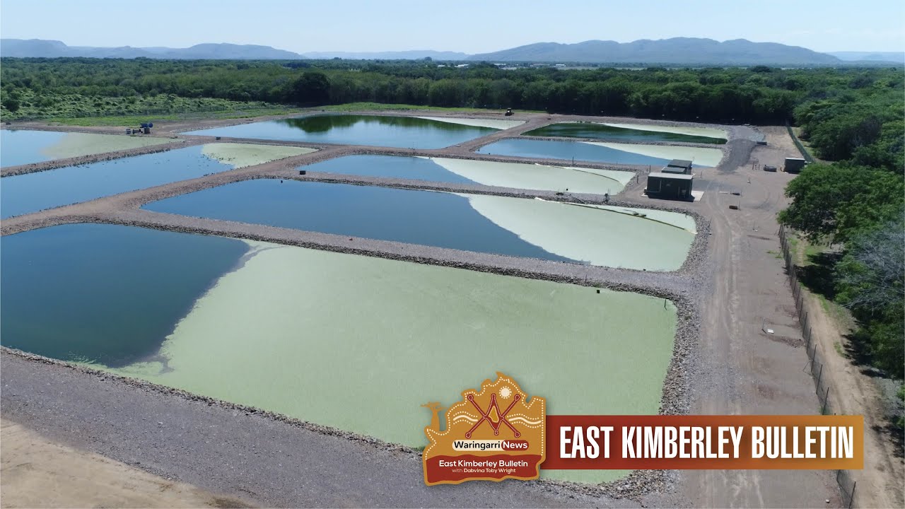 WYNDHAM SEWAGE SYSTEM 'NOT OF THIS CENTURY' - EK BULLETIN STORY