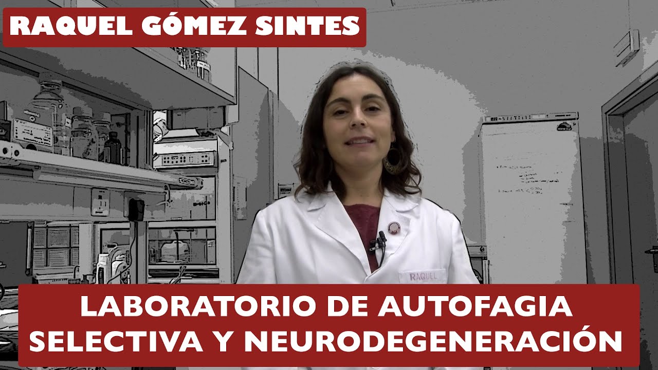 Conoce el CIB Margarita Salas-Raquel Gómez Sintes, grupo de autofagia selectiva y neurodegeneración