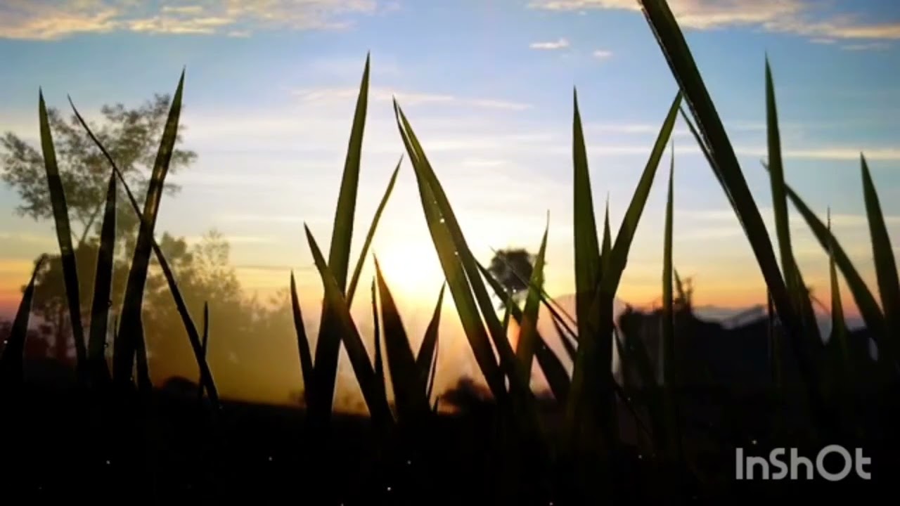 Instrumental guitar mood music