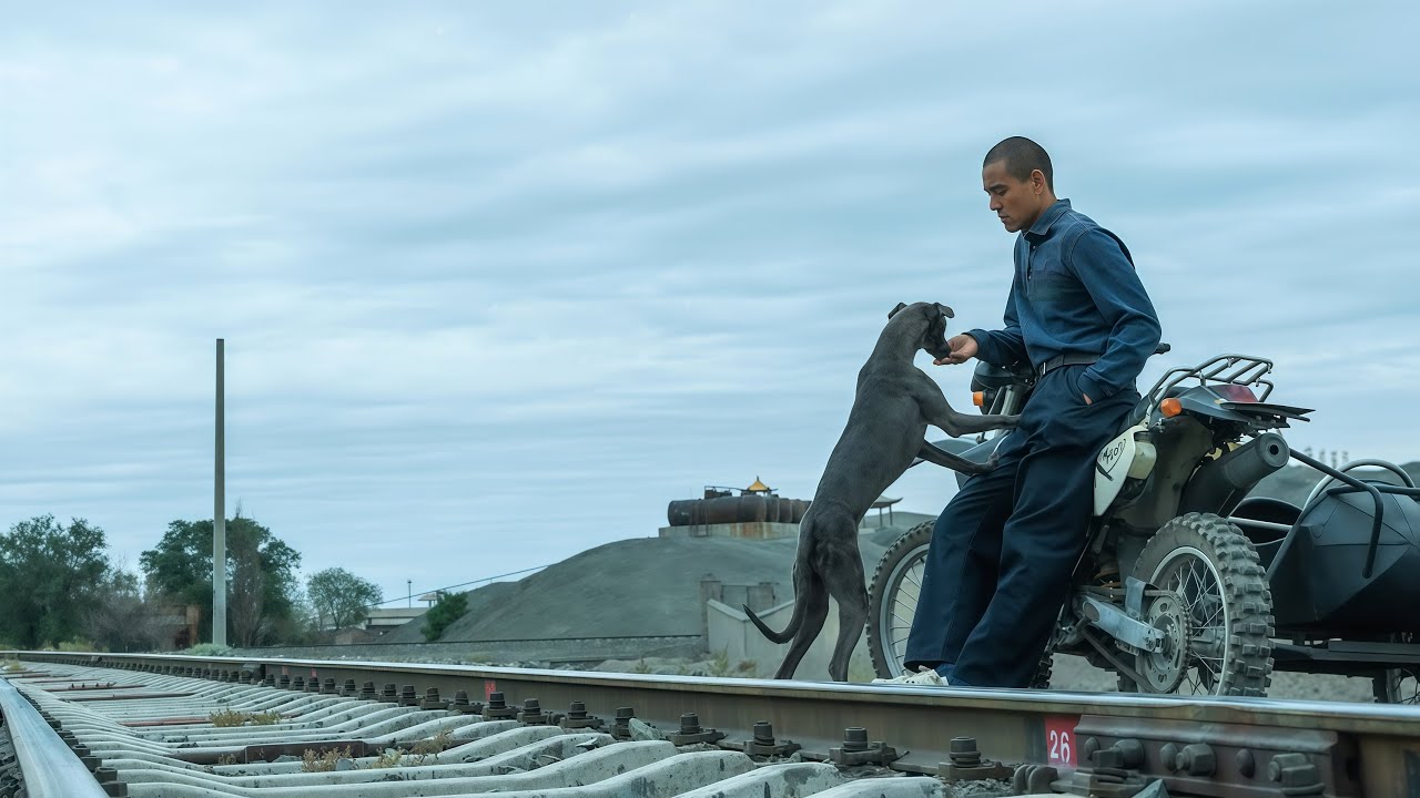 Black Dog (Gouzhen) 2024 Movie Trailer