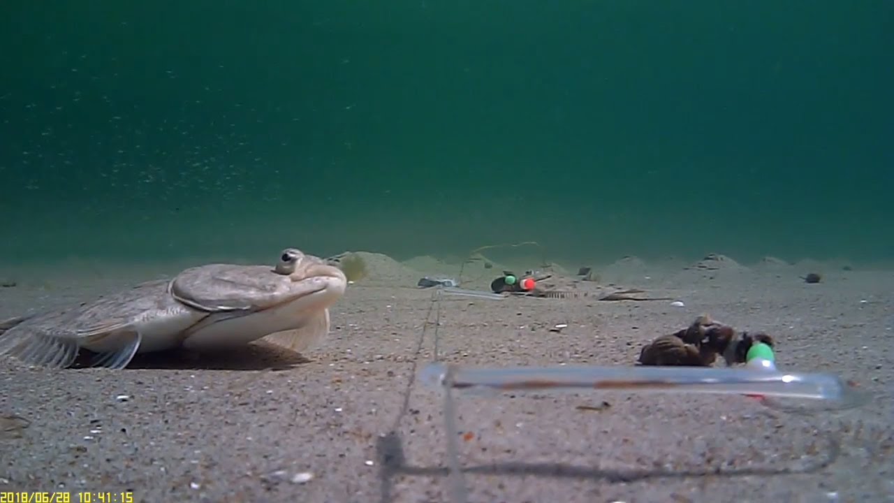 Underwater camera 