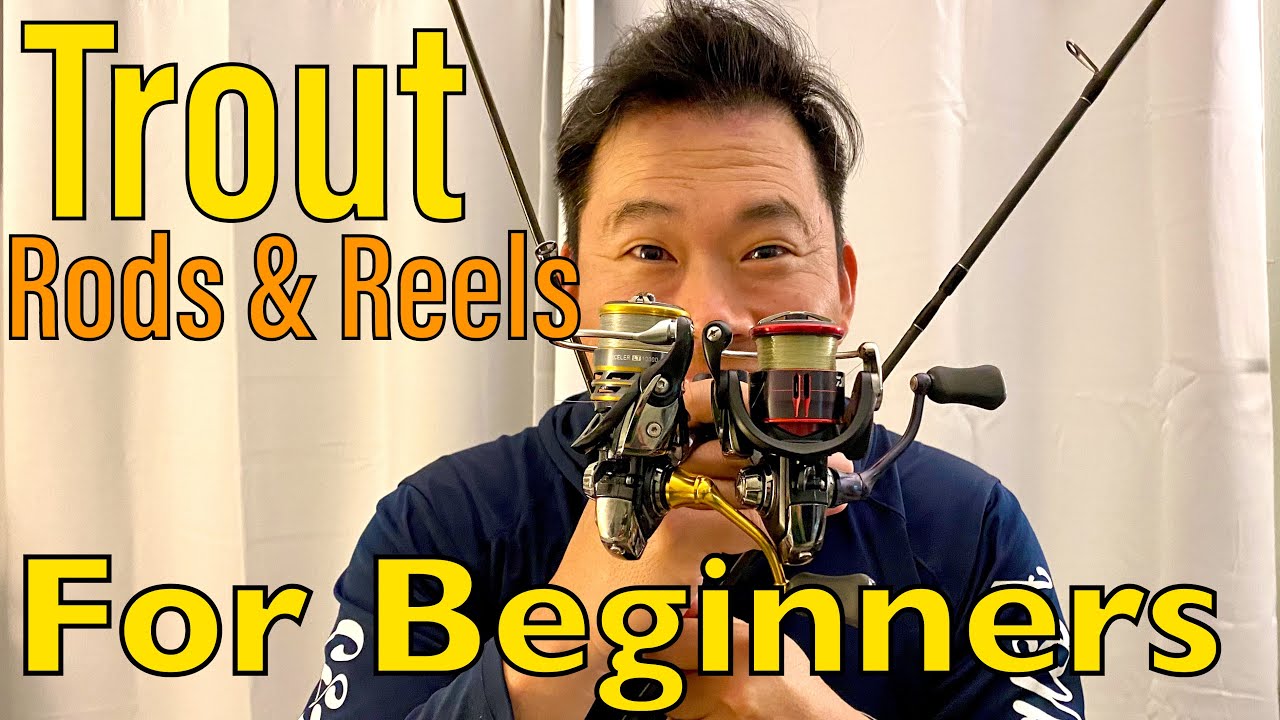 Top Trout Fishing Setups for Beginners based on PRICE to fit your BUDGET (Rods & Reels)