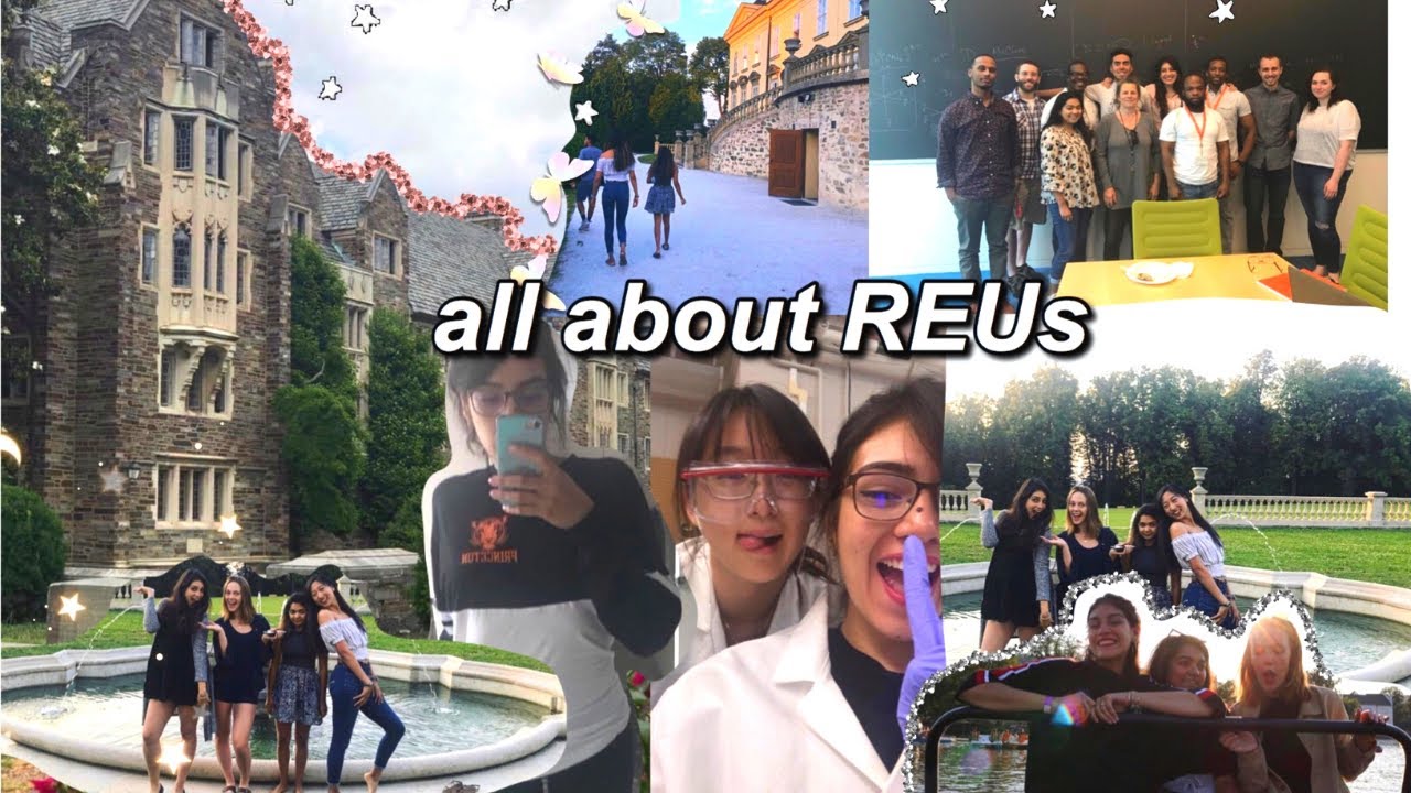 all about REUs: benefits, application process, and my experience | Fernanda Sulantay