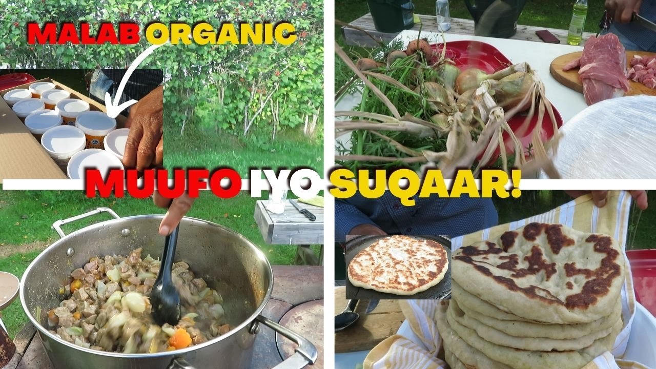 MUUFO IYO SUQAAR AYAAN BURJUKADA BANAANKA KU SAMEEYSANAY, CUNTADA QORYAHA LAGU KARIYAY MACAANKA!