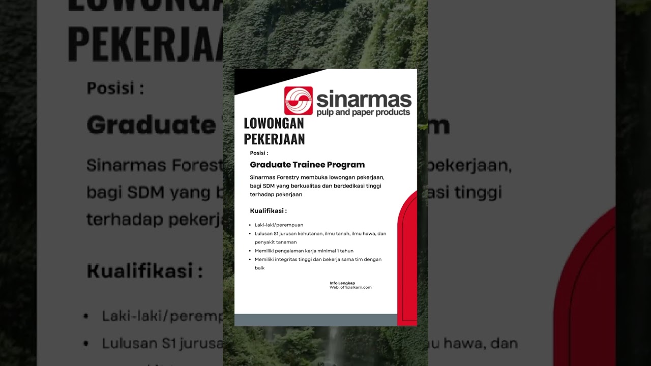 Lowongan Kerja Sinarmas Forestry Agustus 2023 MINIMAL S1