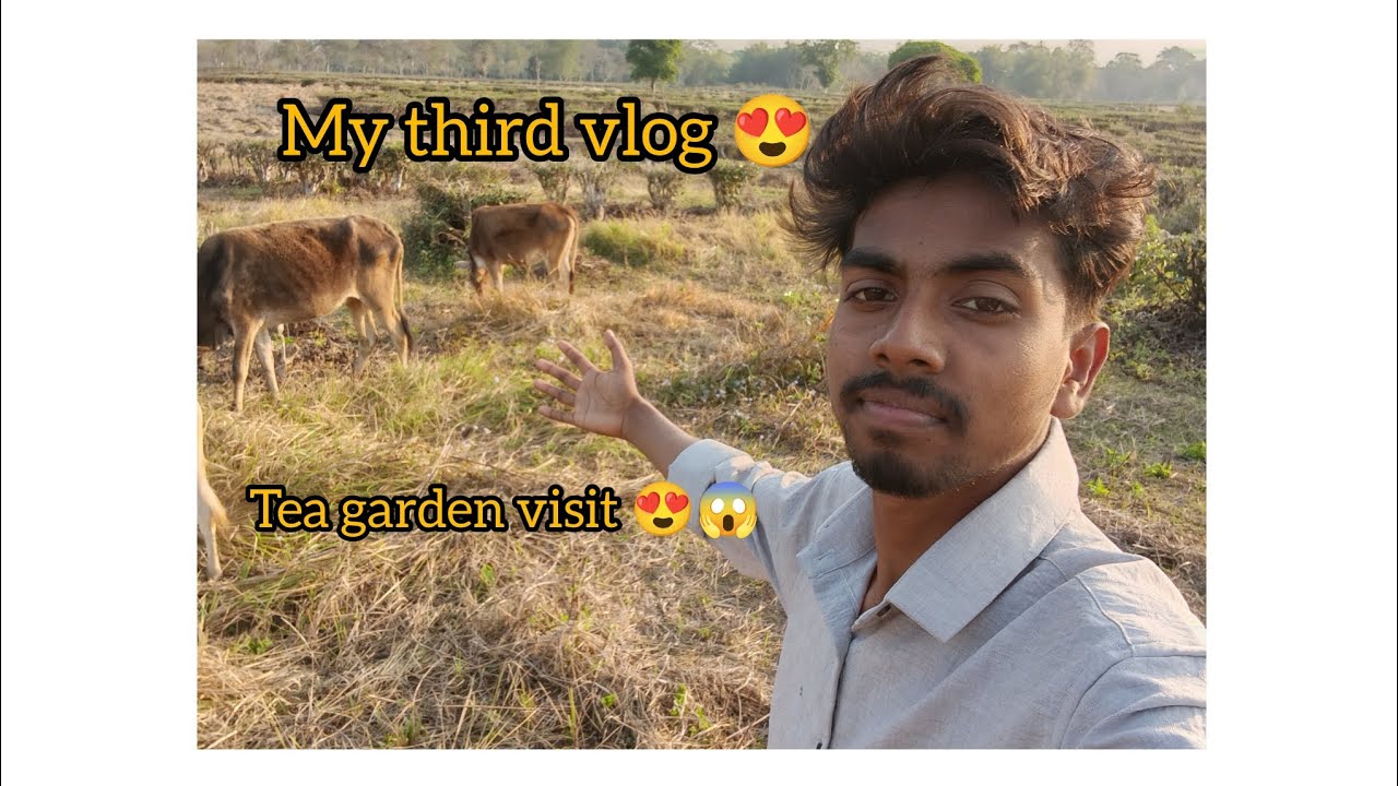 Beautiful view T.E garden 😱