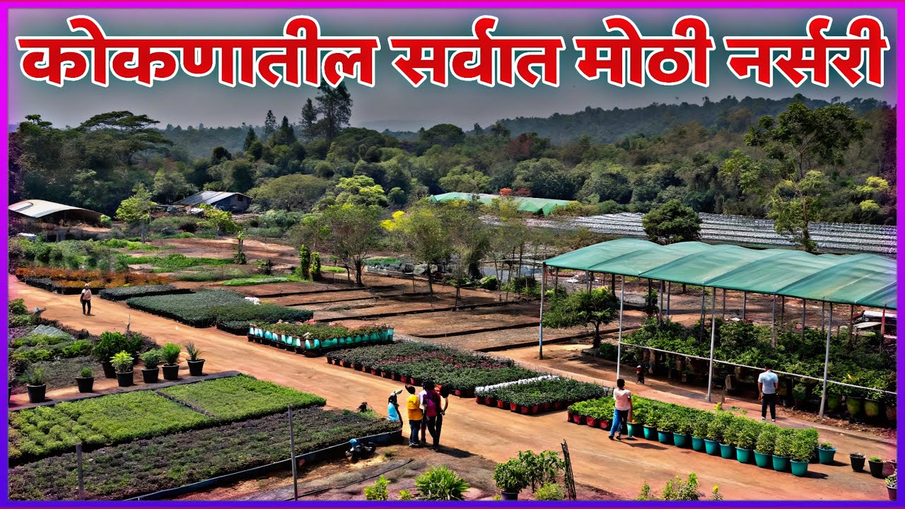 कोकणातील सर्वात मोठी नर्सरी | Mahalaxmi Nursery Harchiri