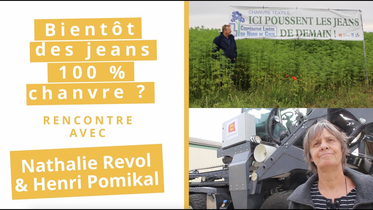 Le retour du chanvre textile en France : l'&eacute;pop&eacute;e normande