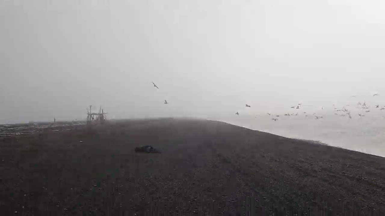 Point Barrow, Alaska; Summer 2024