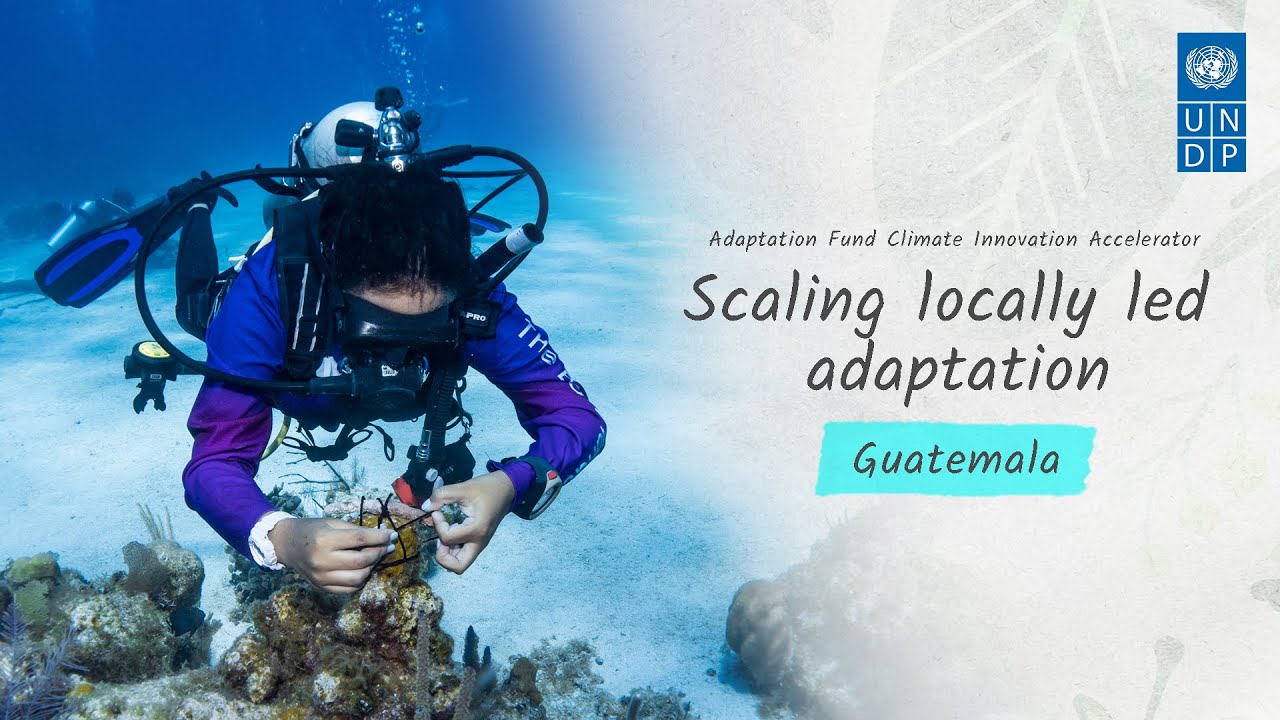 Innovative insurance to protect coral reefs after hurricanes in Guatemala: MARFund
