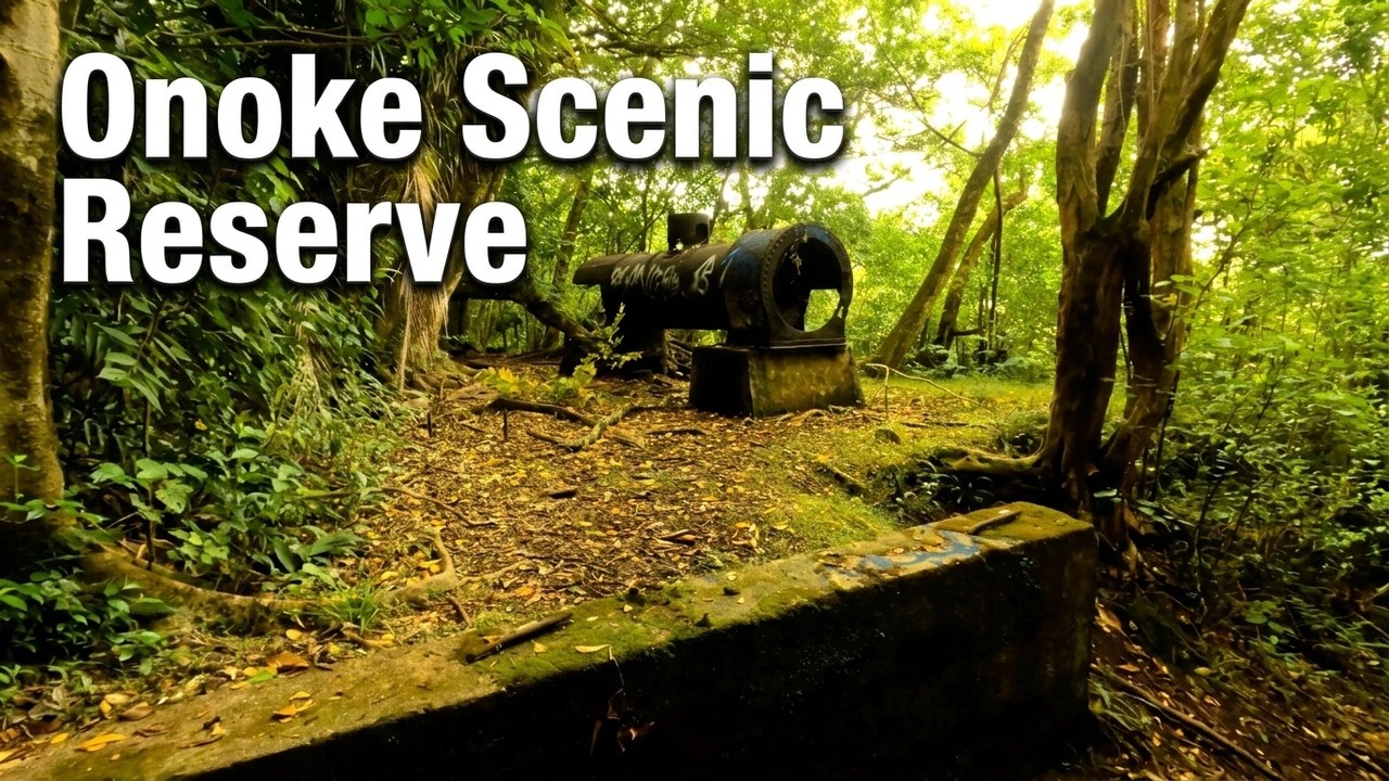 Onoke Scenic Reserve 4K | Forest Path Walk
