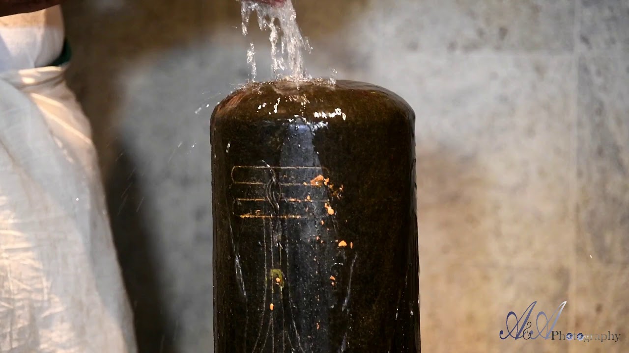 Abhishekam to Lord Shiva || Shiva lingam Abhishekam || Pt. Ramesh - Dayton