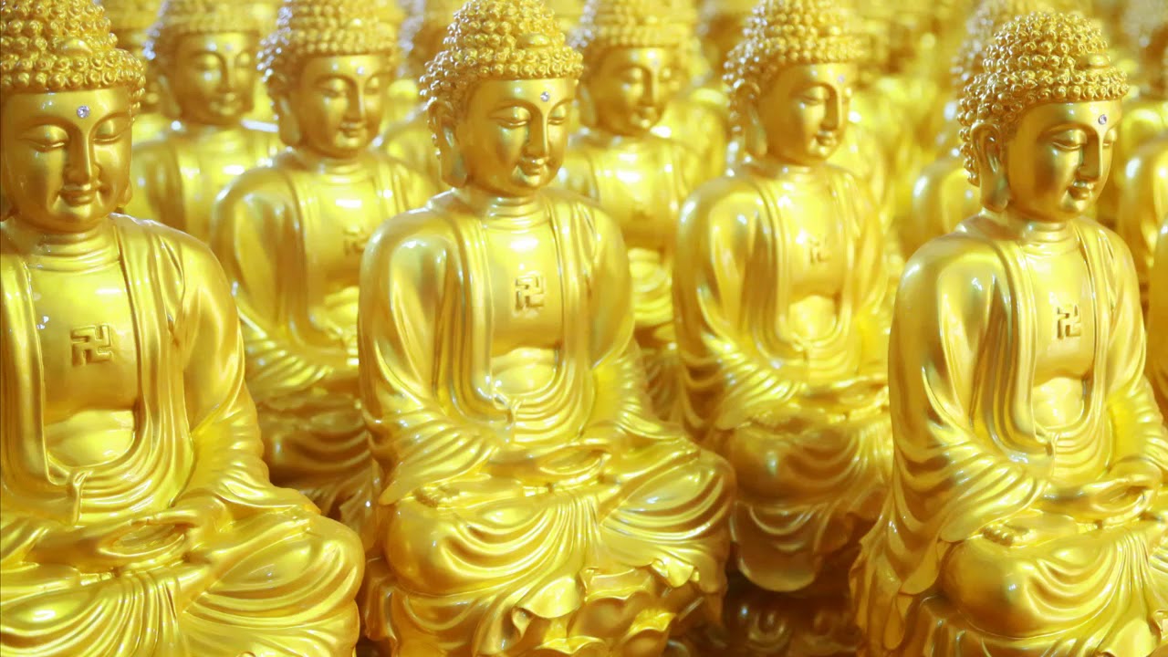 Dùng trí tuệ thay thế tiền bạc - Phật học và đời sống