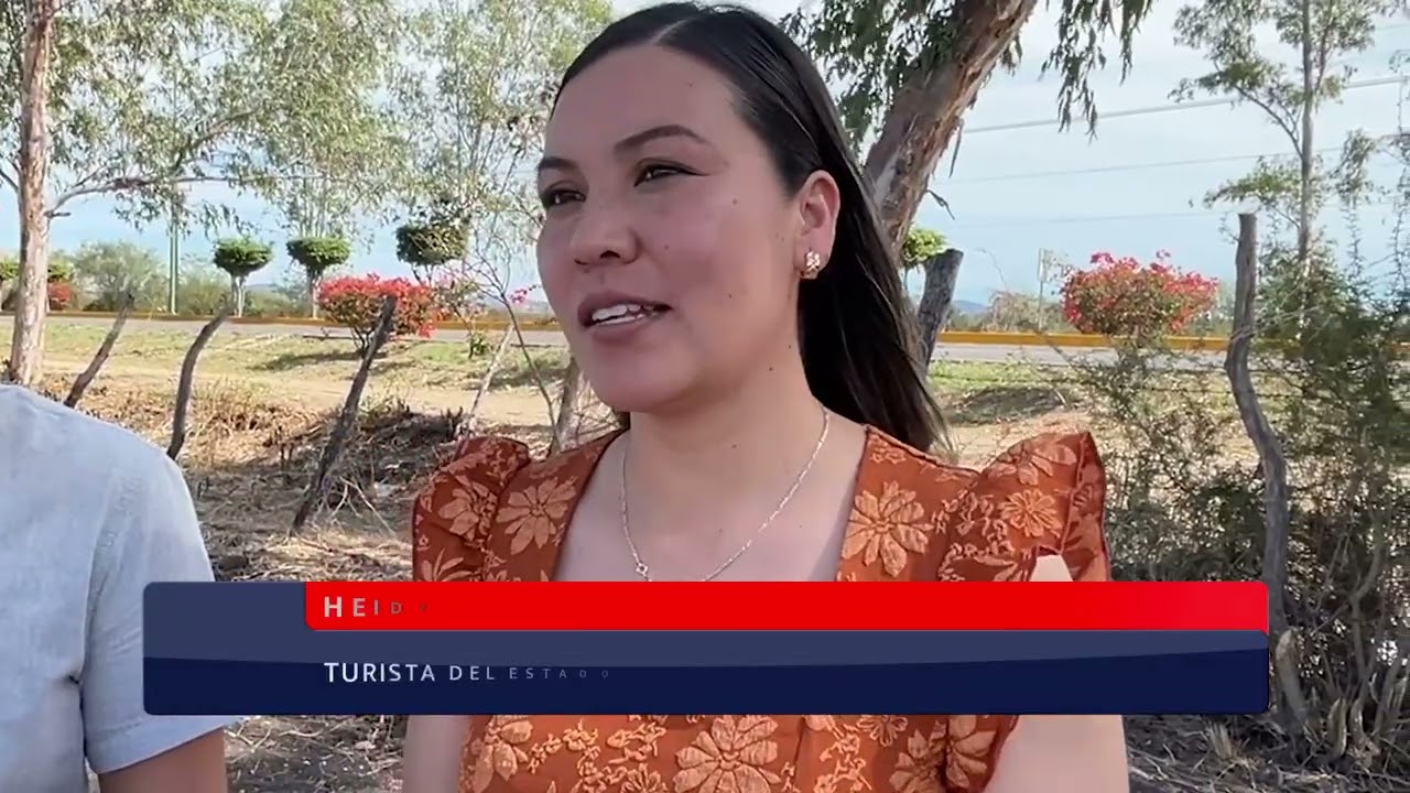Mocorito y su Mar Amarillo: Campo de girasoles que enamora a turistas