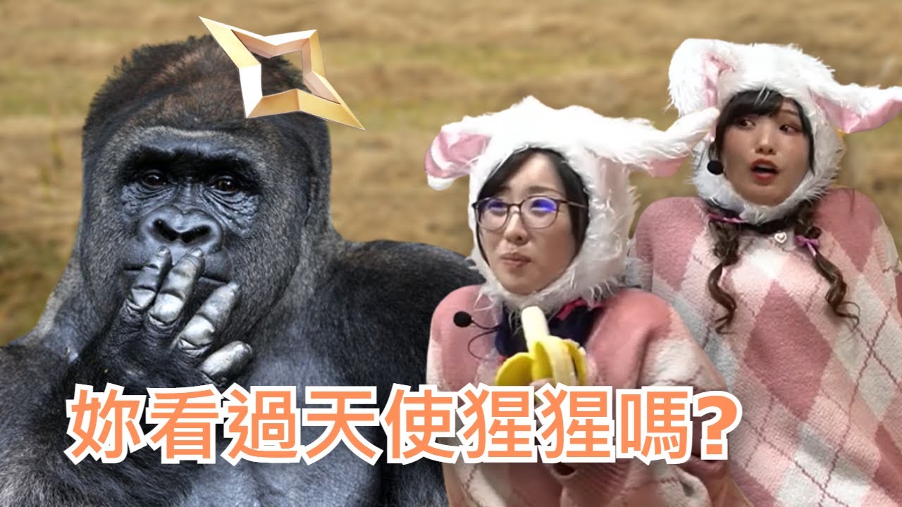 【kson ONAIR / 香月はるか】被問到是否看過天使大猩猩的總長有什麼反應!!!