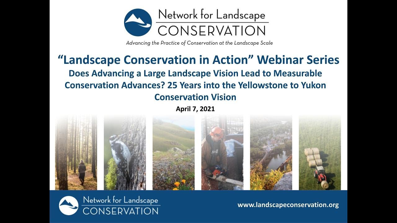 Twenty-Five Years into the Yellowstone to Yukon Conservation Vision