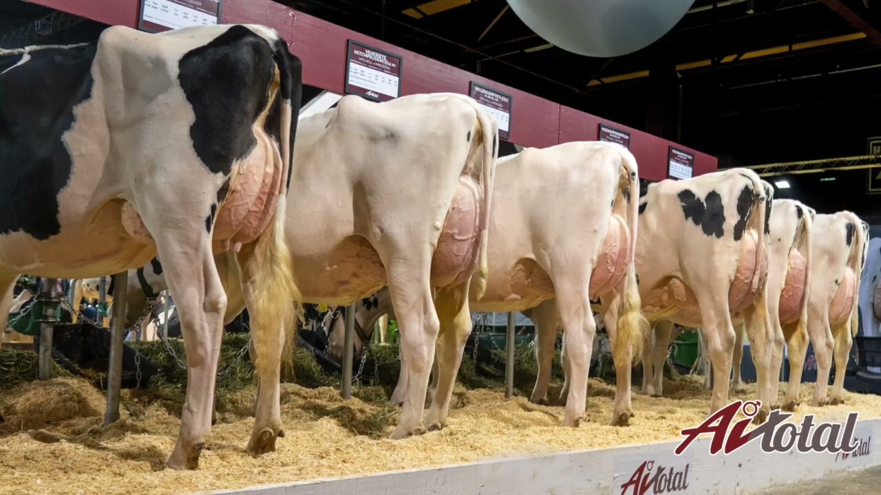 515HO00318 Aurora MITCHELL