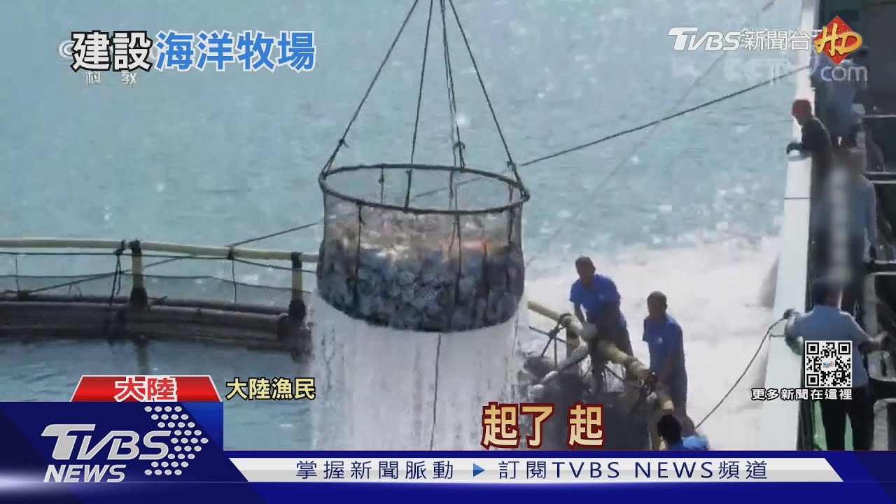 大陸因應糧食安全警訊 積極建設「海洋牧場」｜十點不一樣20220203